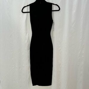 Aritzia Babaton Deville Bodycon Bandage Dress